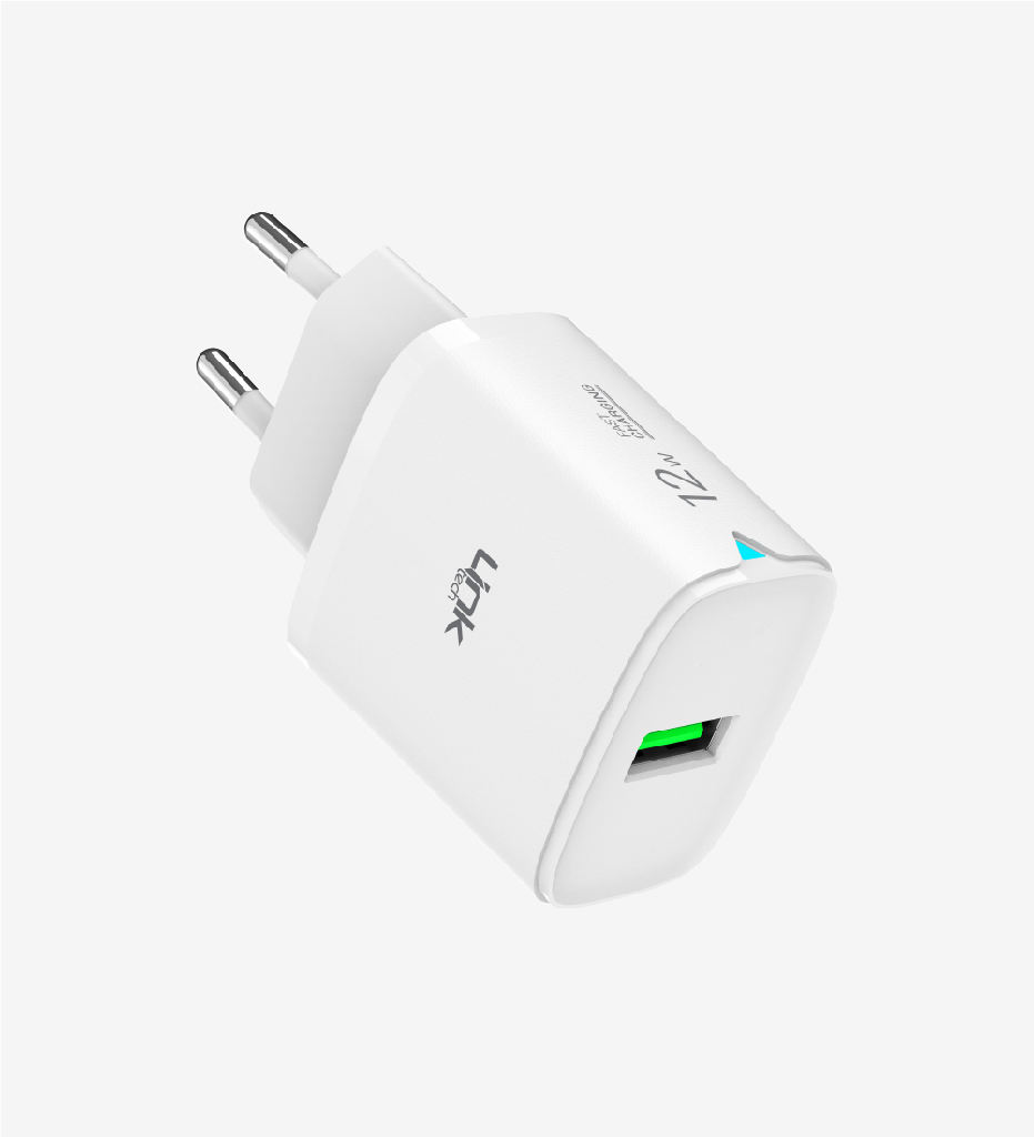 C301 Strong Micro USB Cable 12W Fast Charger